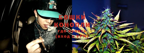 кокс Белокуриха