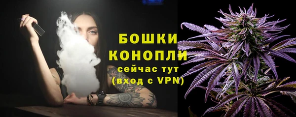 кокс Белокуриха