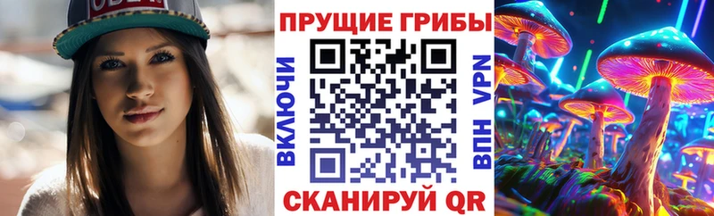 Псилоцибиновые грибы прущие грибы  закладка  Кулебаки 